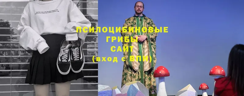 Галлюциногенные грибы Magic Shrooms  Козьмодемьянск 